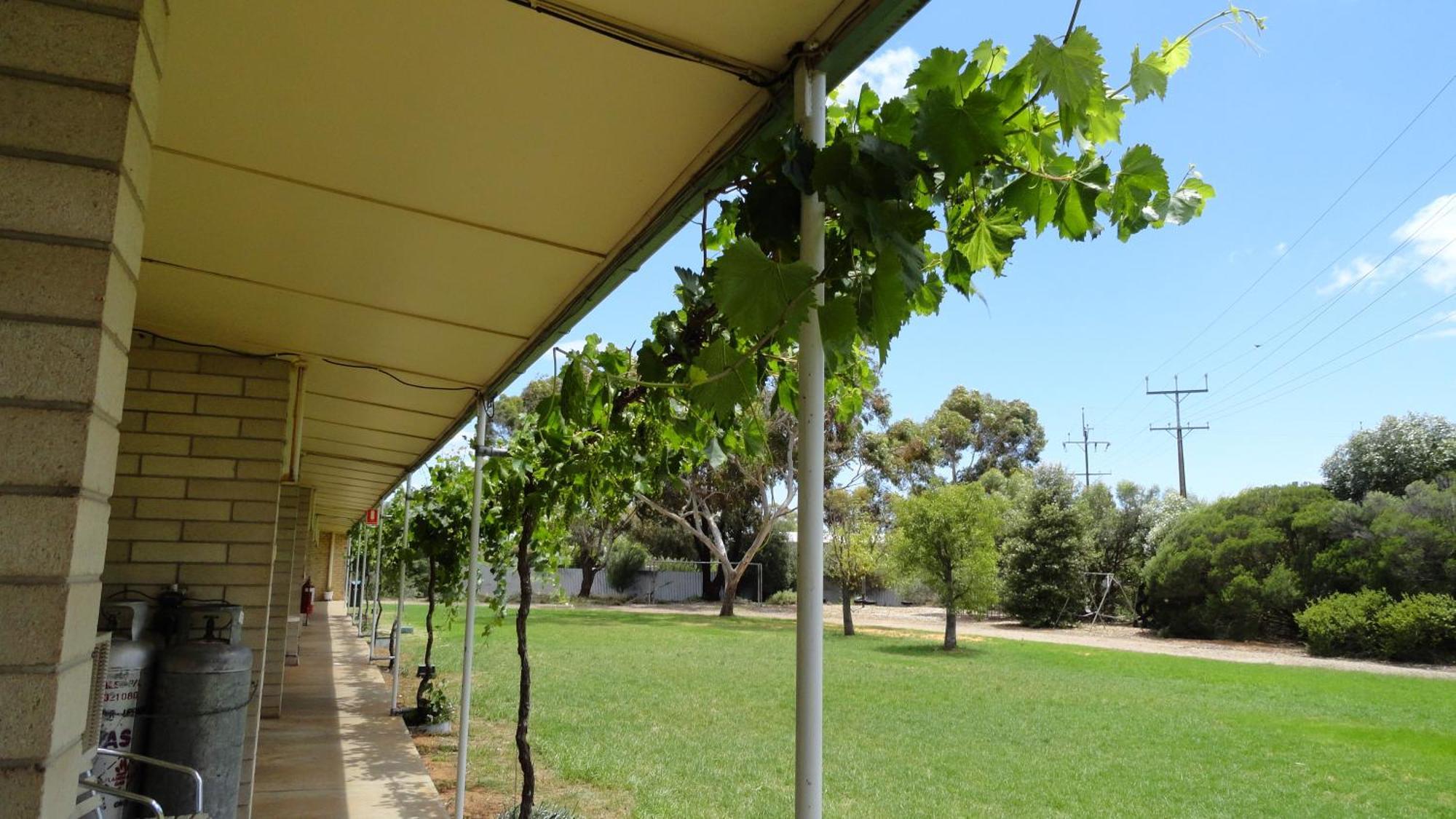 Murray Bridge Motor Inn Bagian luar foto