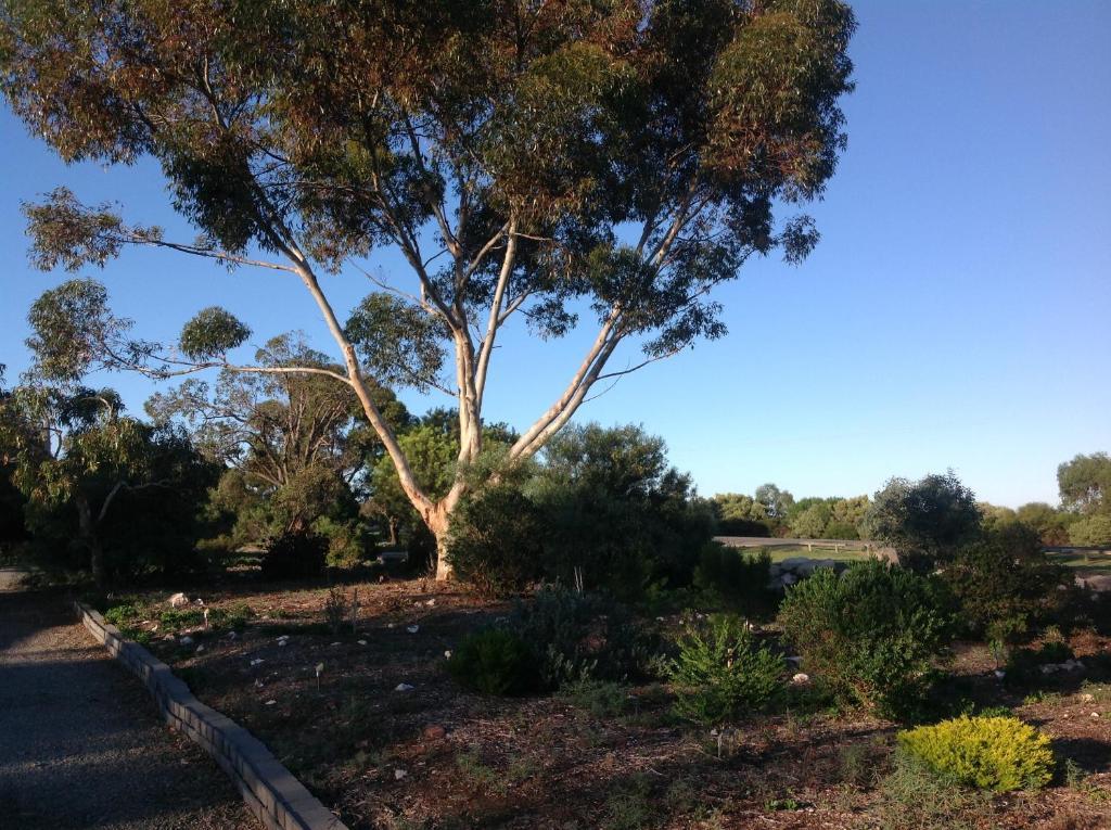 Murray Bridge Motor Inn Bagian luar foto